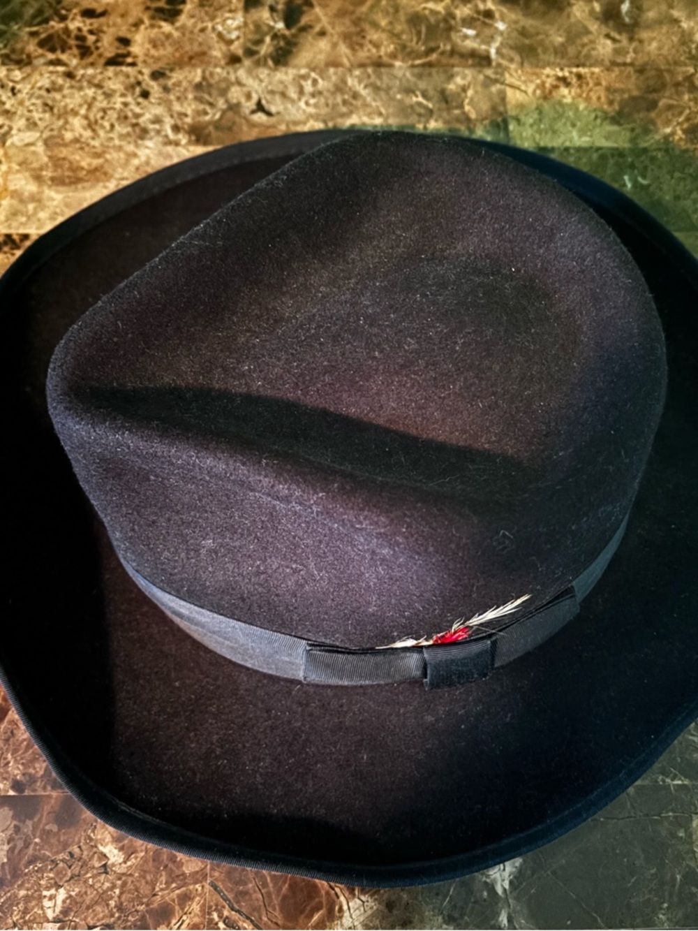 Black Felt Fedora with Feather Trim
